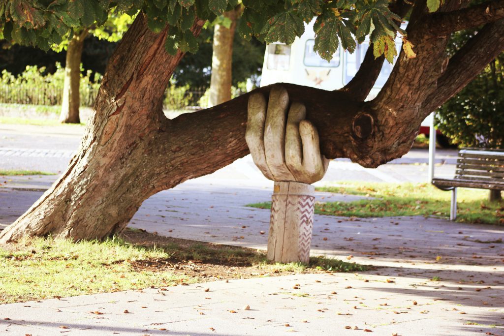 Baum wird gehalten